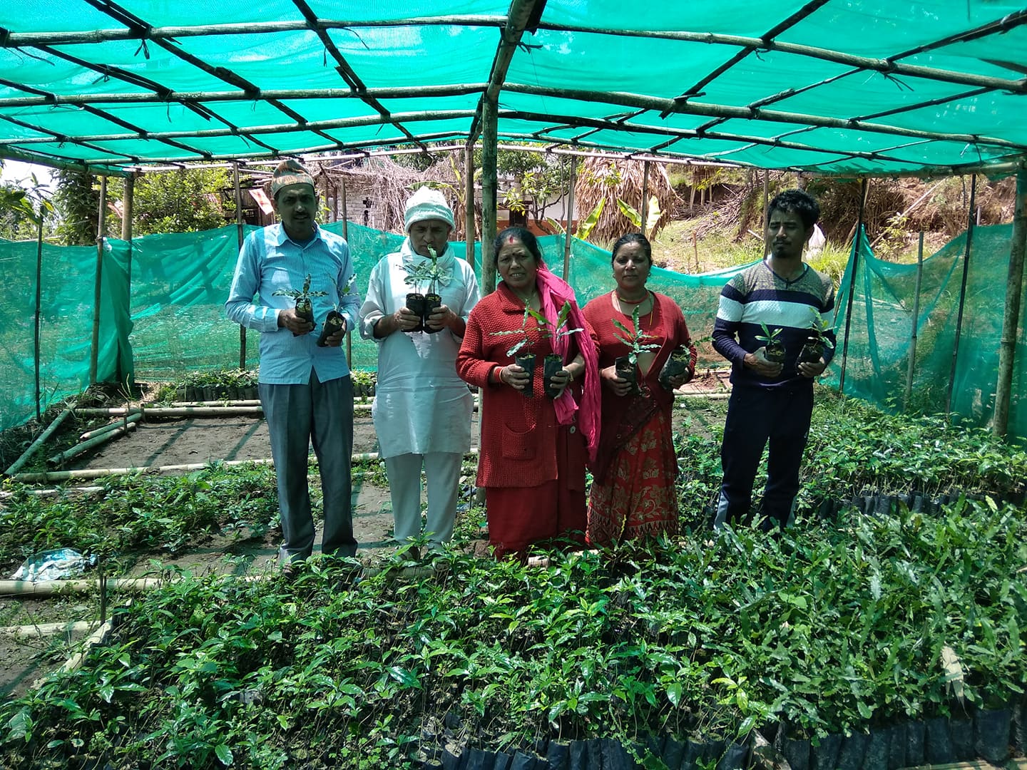 Macadamia Nuts 2020 Changing Lives Nepal